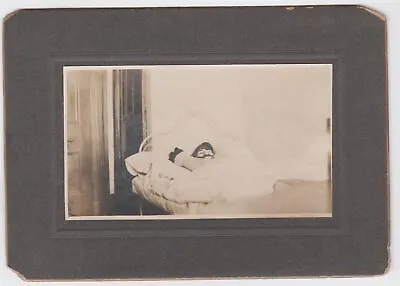 $74.98 • Buy V For Vendetta Mask Dad In Bed Prank Antique Oddities Photo On Board