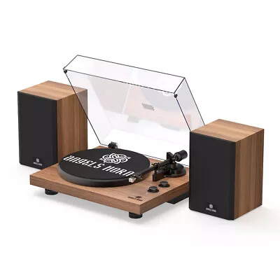 ANGELS HORN Vinyl Record Player Bluetooth Hi-Fi Turntable Players Stereo Speaker • $260