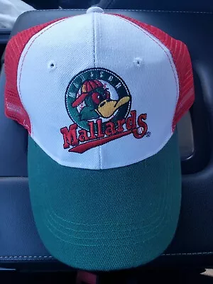 Madison Mallards Snap Back • $13