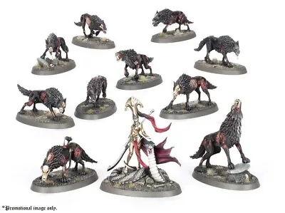 Soulblight Gravelords Fangs Of The Blood Queen ALT. Warhammer Age Of Sigmar. New • $120