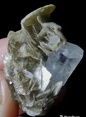 Thumbnail Sized Aquamarine Crystal On Muscovite Mica From Skardu  GB Pakistan. • $22