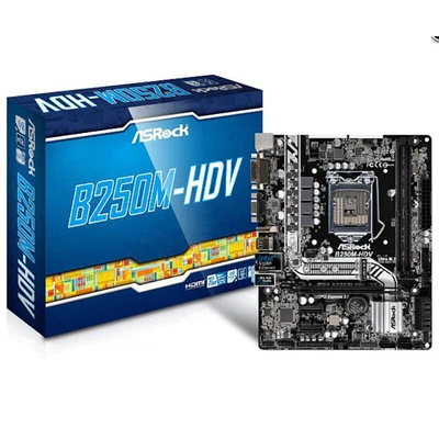 ASRock B250M-HDV Motherboard Board LGA1151 DDR4 32G Micro ATX Mainboard • $94.48