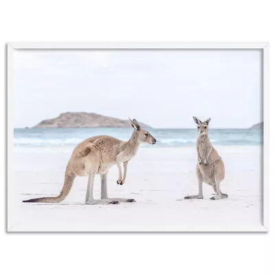 Beach Kangaroo Art Print. Australian Animal Photography Wall Decor | ANA-98 • $22.95