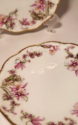 2-T&V Limoges France Dessert Plates 6  NON ROSE PATTERN • $25