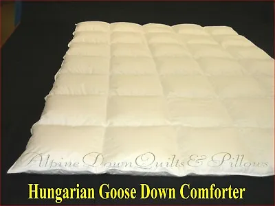 Queen Size Hungarian Goose Down Comforter - Standard Warm 850-900 Fill Power  • $243.35