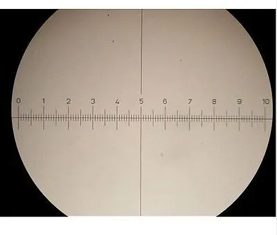 Microscope Eyepiece Graticule Measuring Glass  Ø 19 Mm 10 Mm./100 Dev.+Crosshair • £15.59