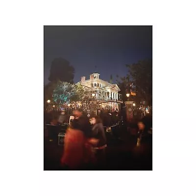 Haunted Mansion & Blurs Of Happy People In Line: Disneyland Photography Poster • $15.95