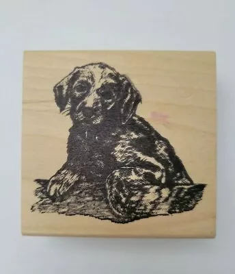 Stamp Affair Dog Rubber Stamp Puppy Lab Labrador Retriever Pet • $3.79