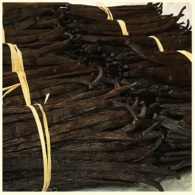 Fresh Whole Vanilla Beans Grade A  Bourbon Gourmet Vanilla Pods For  Extract. • $13.99