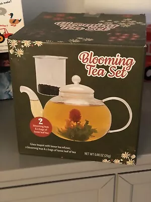 Blooming Tea Set Glass Teapot With Infuser Stovetop Tea Pot Safe • $19.99