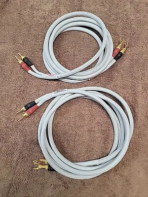 TWO (2) 10  Long Monster MCX-2S Series Speaker Cables High End Pin Connectors • $100