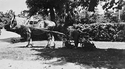 A Man Adjusting A Horse-drawn Reel Mower New South Wales 1925 OLD PHOTO • $5.47