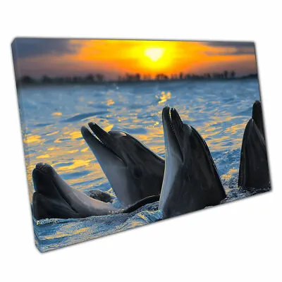 Bottle-Nosed Dolphins Enjoying The Sunset Sea Life Photography Wall Print Canvas • £25.90