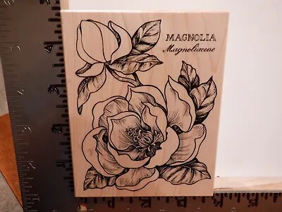 Psx Designs K1556 Magnolia Botanical Flower Wood Rubber Stamp Euc L4792 • $12.95