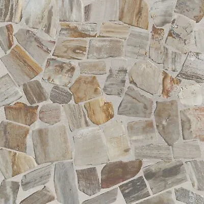 Mosaic Petrifiedwood Floor And Wall Mosaic Tile ($16.22/SqFt) • $72.99