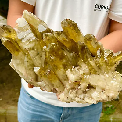 11.7lbNatural Citrine Cluster Mineral Specimen Quartz Crystal Healing AX940 • $0.99