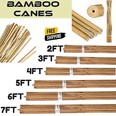 Bamboo Canes Support Garden Plant Pole Stake Flower Stick Strong Profesional UK • £6.99