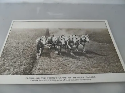 £3.10 • Buy Canada Emigration Office  C1910  Horses Ploughing  VINTAGE POSTCARD GOOD COND 1