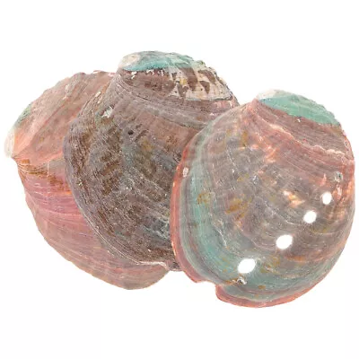 3pcs Abalone Shell Smudge Bowls Shell Smudge Holder Abalone Shell For Smudging • £7.45