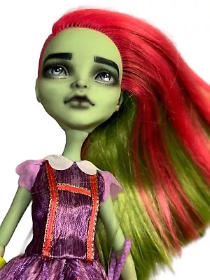 OOAK Repaint Monster High Custom BGD Pink Green Venus Mcflytrap • $22.99