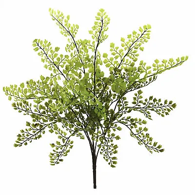 Maiden Hair Artificial Silk Plant Home Decoration Nearly Natural 15” Set Of 12 • $74.86