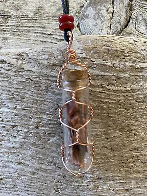 Arizona Petrified Wood Filled Glass Vial Wire Wrapped Pendant Necklace Copper • $7.95