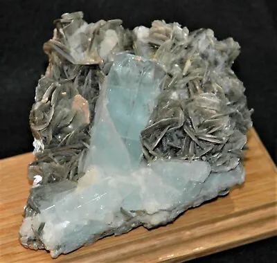 Aquamarine With Muscovite Display Specimen Terminated! • $429