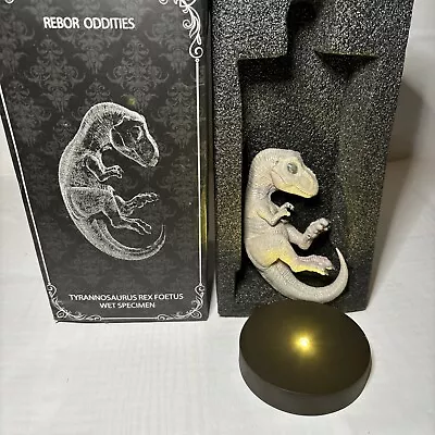 REBOR Oddities Tyrannosaurus Rex Foetus Wet Specimen With Light Up Base No Jar • £18