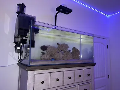 $1000 • Buy Aquarium And Supplies For A Reef Tank