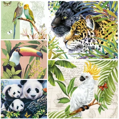 Jungle Napkins Decoupage X 4 Leopard Exotic Bird Panda Napkins Mix Packs Avail • £2.79