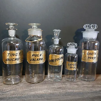 $175 • Buy 5 Antique Apothecary Druggist Jars- Label Under Glass Bottles Curiosity Cabinet