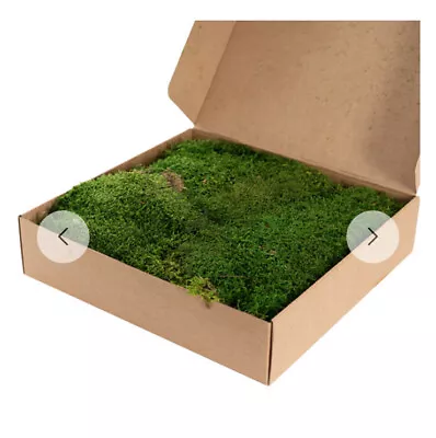 CANOPY 500g Premium Preserved Flat Moss Sheet 1.11 LBS Box Green Decor Fairy • $54.90