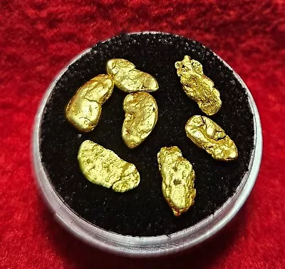 California Natural Gold Nugget 2.4 Grams Total Weight In A Gem Jar W/lid • $180