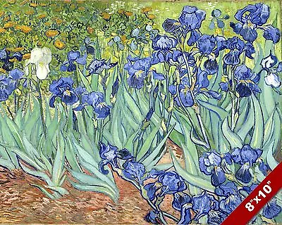 Vincent Van Gogh Blue Iris Flower Bed Floral Painting Art Real Canvas Print • $14.99