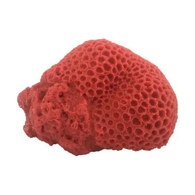 Weco Products South Pacific Coral Brain Ornament Orange 1 Each/Large By Weco • $45.62