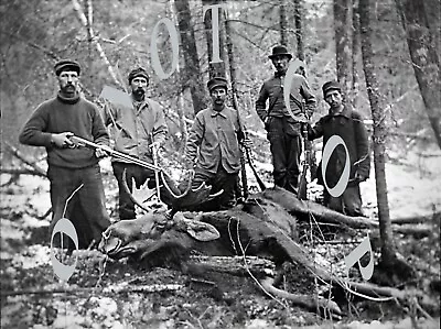 Antique Early Hunting Reproduction 8x10 Photograph Moose Hunting Rifles • $11.99