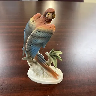 Vintage Napco Scarlet Macaw Ceramic Bisque Porcelain Bird Figurine • $14.99