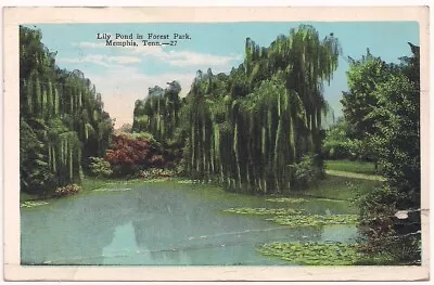 Postcard TN Lily Pond Forest Park Memphis Tennessee To Schenectady New York '20s • $6.95