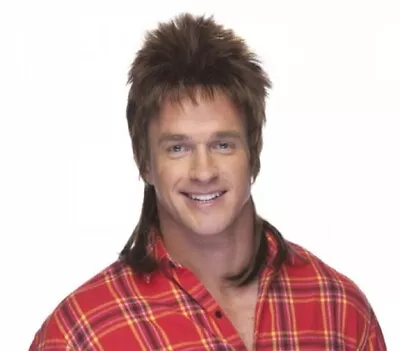 High Quality Brown Mullet Hair Wig Adult Male Joe Dirt 1980's 80's Rocker • $28.95