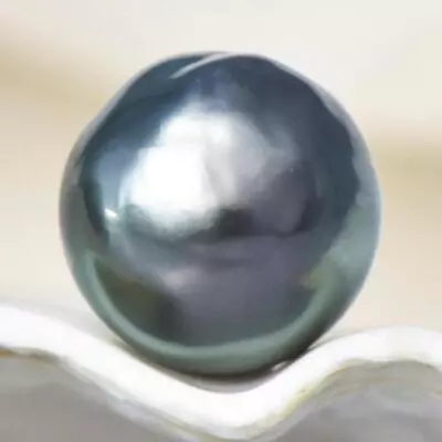 $68 • Buy 12.95cts Tahitian South Sea Pearl 12.85mm Charcoal Black Baroque 2.59g Undrilled