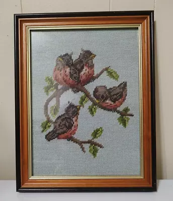 Vintage Framed Needlepoint Picture Four Baby Red Birds On A Limb 10.5  X 13.5  • $40