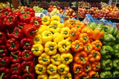 Sweet Pepper Seeds - Yolo Wonder  - 50 Seeds - Heritage - GMO Free Organic • £3.25