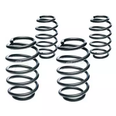 Eibach Pro Kit Coil Springs For W201 • $556.62