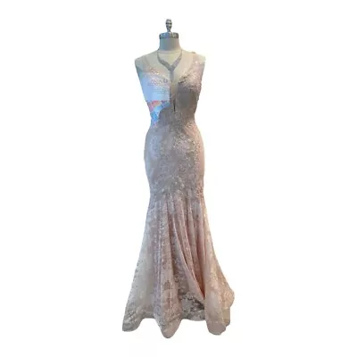 Blush V-Neck Mermaid Lace Long Prom Dress. • $400