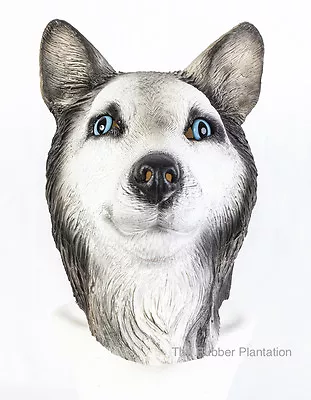 £18.99 • Buy Siberian Husky Mask Dog Latex Animal Fancy Dress Canine Halloween Malamute Wolf