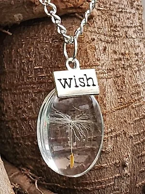 Dandelion Wish Necklace Seed Pendant Charm 20  Chain Angel Hair Fashion Jewelry • £3.98