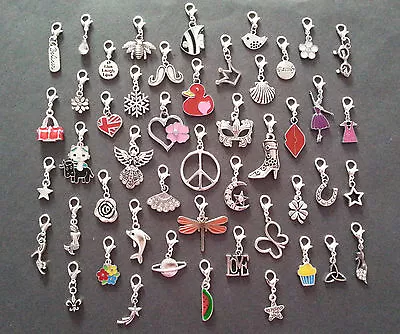 Clip On Dangle Charms Memory Locket / Bracelet / Keyring Buy 2 Get 1 Free List 2 • £1.39