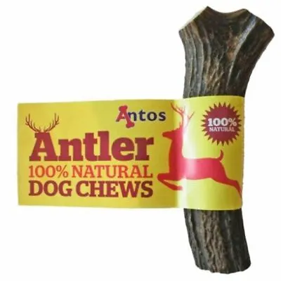 £11.30 • Buy Antos Antler Stag Bar Dog Chews - Medium
