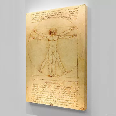 VITRUVIAN MAN Leonardo Da Vinci Print Reproduction Wall Art Print POSTER CANVAS • $10.94