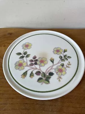 Vintage M & S St Michael Autumn Leaves Coaster /Pot Stand/Trivet Melamine 7” Dia • £1.99